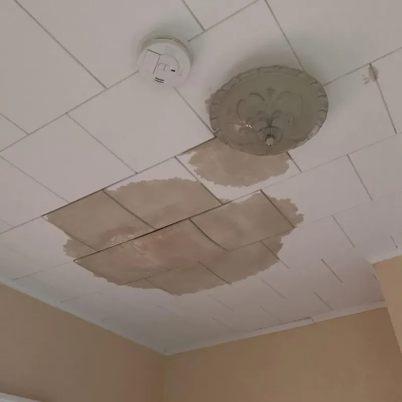 Ceiling Water Damage Repair in Haysville, KS