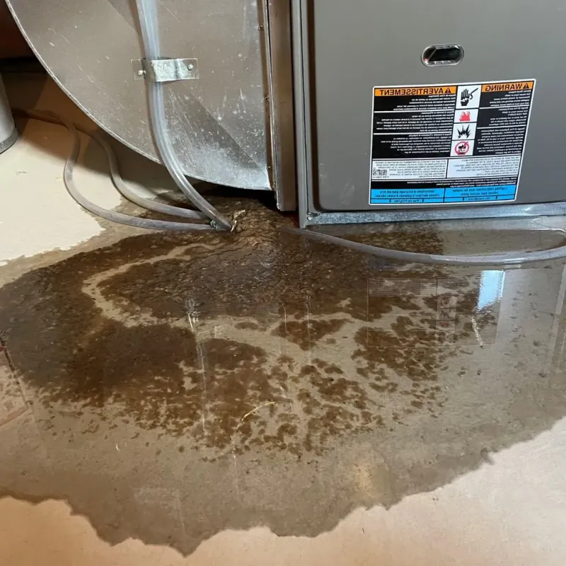 Pipe Burst and Leak Restoration in Haysville, KS