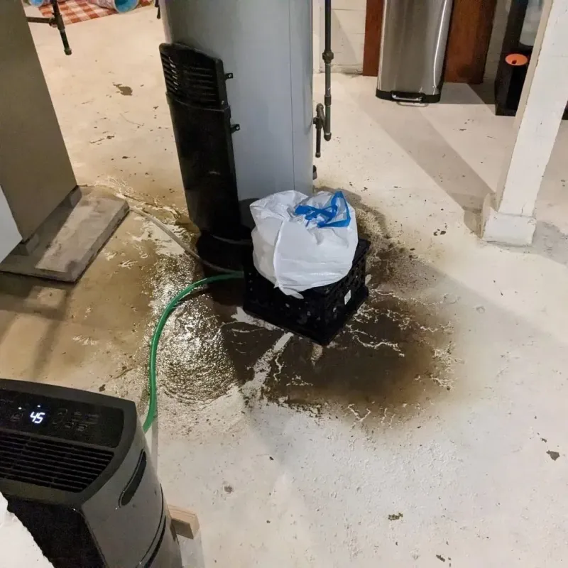 Sewage Backup Cleanup Service in Haysville, KS